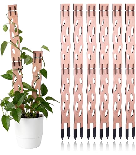Amazon.com : Treleaf Zella Grande Starter Kit – Wooden Extendable